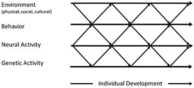 Early social-cognitive development as a dynamic developmental system—a lifeworld approach